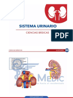 NEFROLOGIA