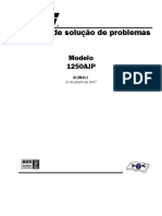Soluçao Problemas - 1250.PDF Versão 1