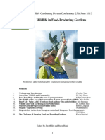 June 2013 Proceedings Frediani Talk Urban Growing Challenges