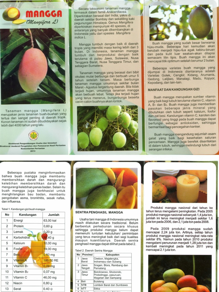 Mangga | PDF