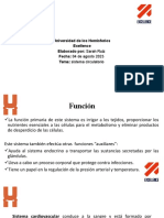 Sistema Cardiobascular