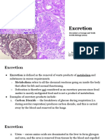 IGCSE Excretion (Updated)