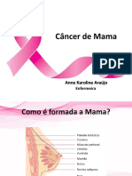 Slide Câncer de Mama (Corrigido)