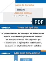 Material de Apoyo Semana 3 Litigio DERECHO PÚBLICO 22-3