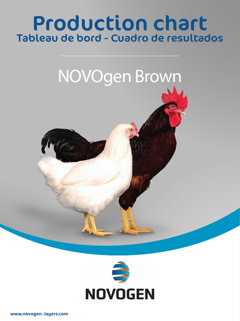 Novogen Brown Chicken Production Guide | PDF | Cognitive Science ...