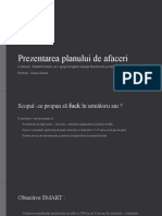 Prezentarea Ideii de Afaceri