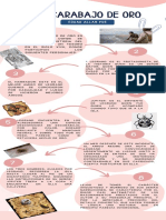 Infografia Paso A Paso Gratis Juvenil Rosa