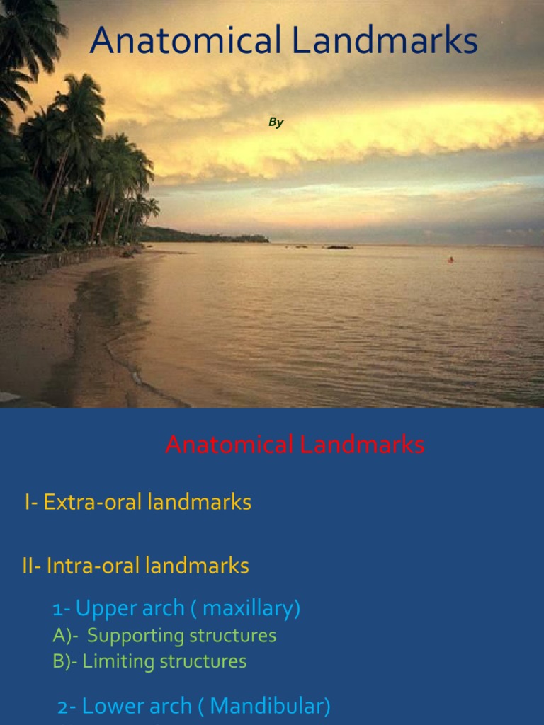 Anatomical Landmarks | PDF | Dentures | Lip