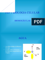 Biomoleculas