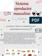 Diapositivas Sistema Reproductor Masculino