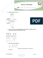 Taller Octavo