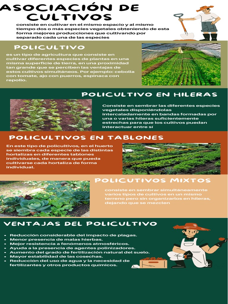 Asociación De Cultivos Pdf