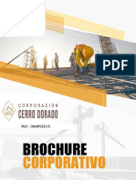 1.0. Brochure Corporativo Cerro Dorado Sac