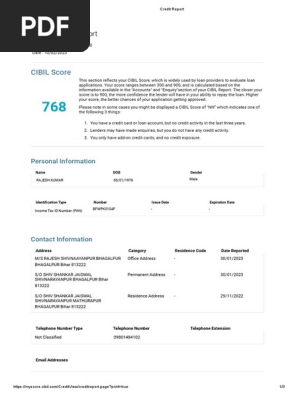 Credit Report