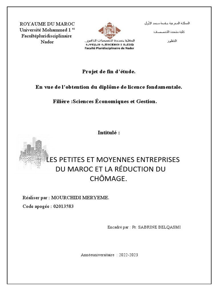 PME et Réduction du Chômage au Maroc | PDF | Business | Petite ou ...