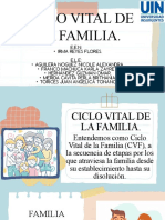 Copia de Ciclo Vital de La Familia.