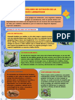 Infografia em Word