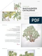 Succulentes Catalogue