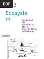 Ecosystem