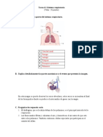 M6 Sistema Respiratorio Tarea 6 1