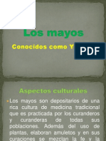 Los Mayos