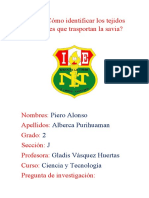 Título Informe Sobre Los Tejidos Conductores