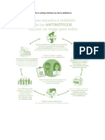 Elabora Un Póster Digital de Un Catálogo Del Buen Uso de Los Antibióticos