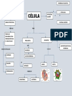 Mapa Conceptual de La Celula 2