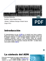 Diapositivas Modelo de Sintesis de DNA (ADN)