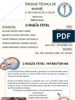 Cirugía Fetal Intrauterina