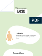 TACTO 