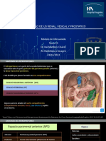 Protocolo Us Renal, Vesical y Prostatico