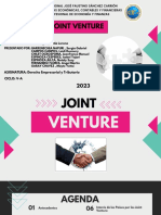 Joint Venture