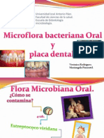 Micro Flora de La Cavidad Bucal