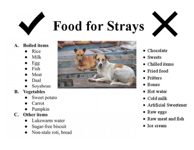 Poster for ideal dog food PDF