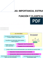 PROTEINAS