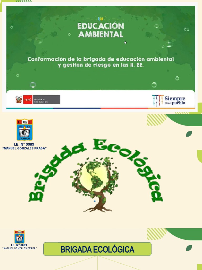 Brigada Ecologica | PDF | Deforestación | Entorno natural