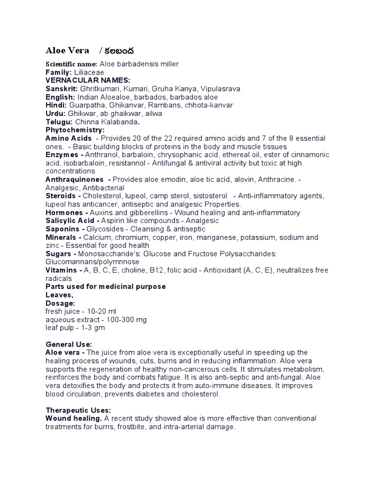 Medicinal Plants | PDF | Ayurveda | Basil