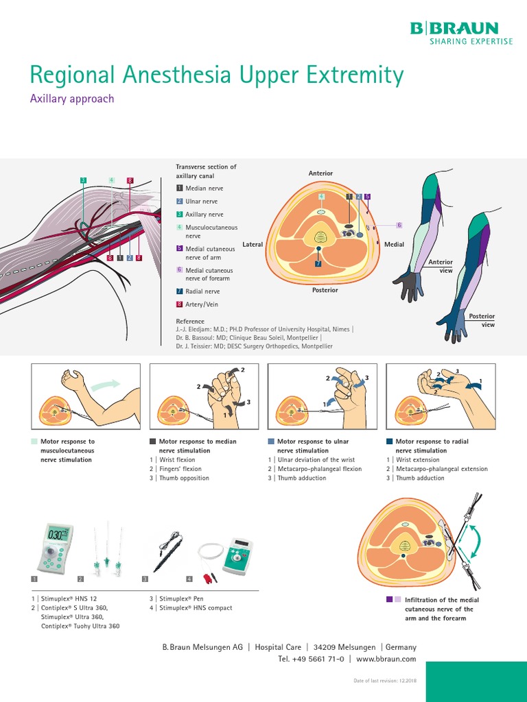 Regional Anesthesiaposter Upperandlowerextremity Pdf Human Leg