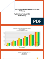 Capaian Standar Pelayanan Minimal (SPM) Jan-Juni THN 2023