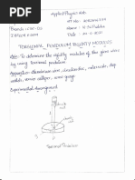 Torsional Pendulum