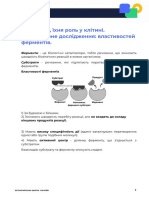 Ферменти їхня роль у клітині. Лабораторне дослідження властивостей ферментів. Конспект 193149 четвер 22 вересень 2022