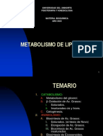 Metabolismo de Lipido Fisiot.