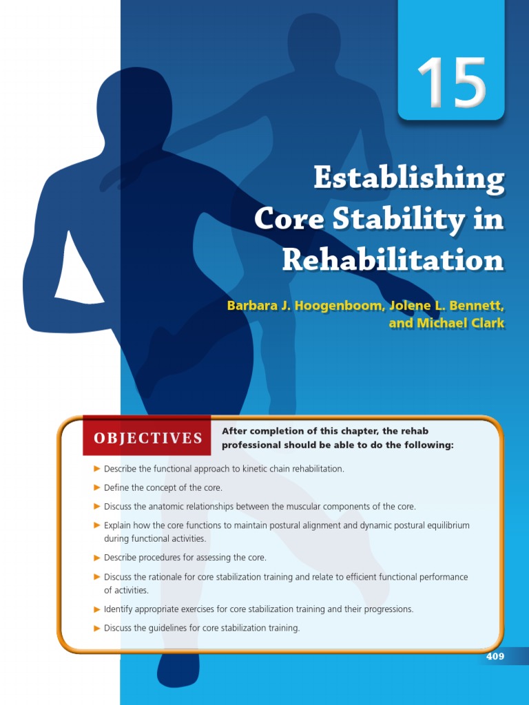 Establishing Core Stability in Rehabilitation | Download Free PDF ...