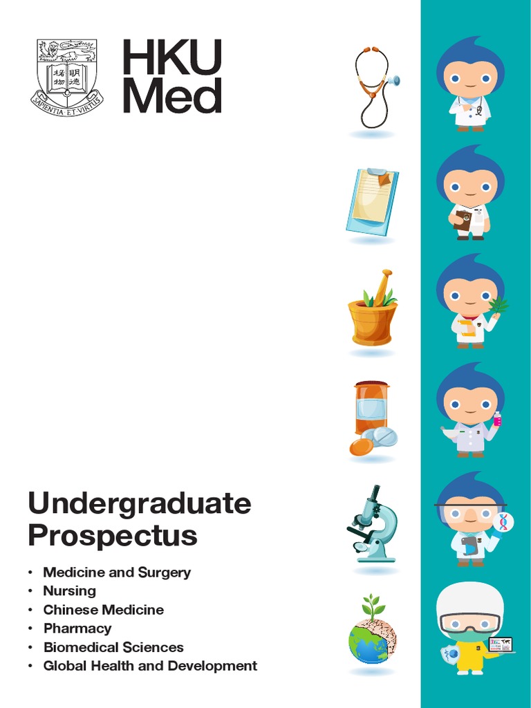 HKU Medicine Undergraduate Programs Overview | PDF | Medical School ...