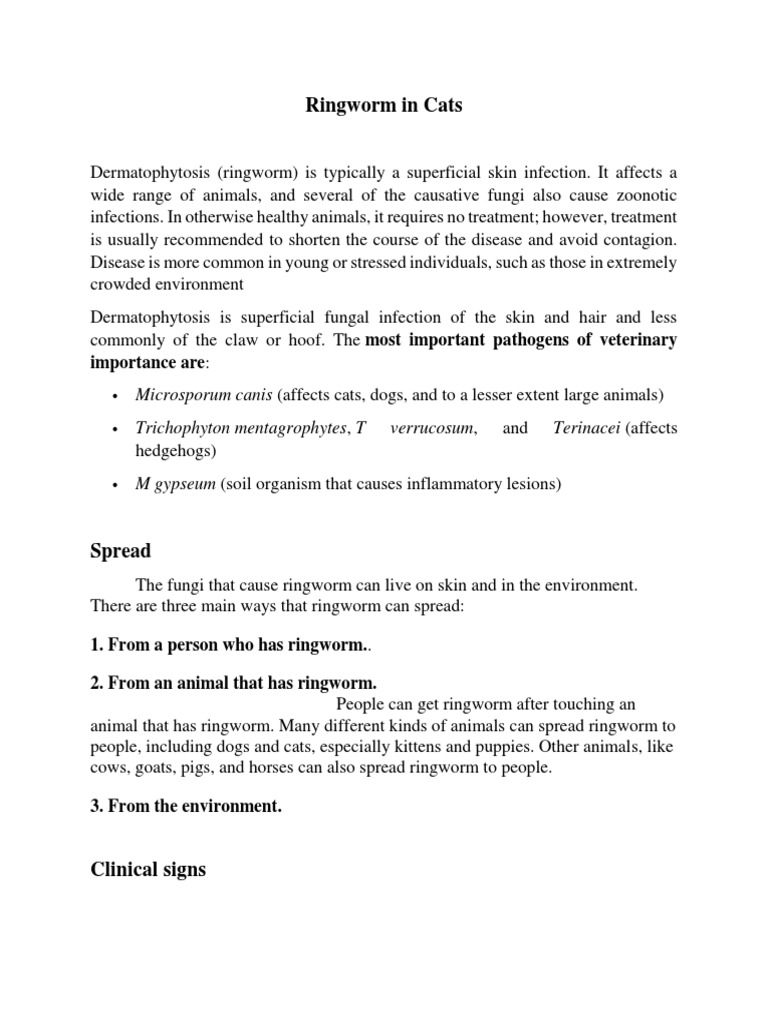 Ringworm in Cats | PDF | Medical Specialties | Immunology