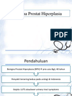 Benigna Prostat Hiperplasia