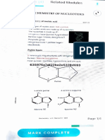 Purine and Pyrimidine