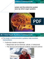 How Organ System Communicate