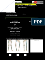 Ficha de Valoración Antropométrica Funcional